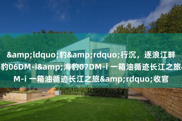 &ldquo;豹&rdquo;行沉，逐浪江畔！&ldquo;海豹06DM-i&海豹07DM-i 一箱油循迹长江之旅&rdquo;收官