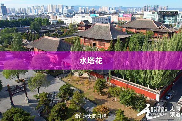 水塔花