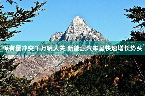 保有量冲突千万辆大关 新能源汽车呈快速增长势头