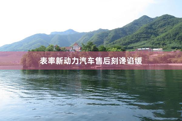 表率新动力汽车售后刻谗谄缓