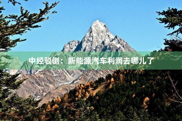 中经驳倒：新能源汽车利润去哪儿了