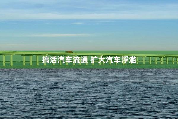 搞活汽车流通 扩大汽车浮滥