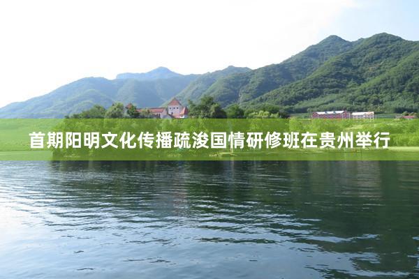 首期阳明文化传播疏浚国情研修班在贵州举行