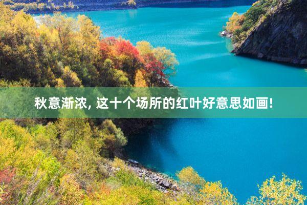 秋意渐浓, 这十个场所的红叶好意思如画!