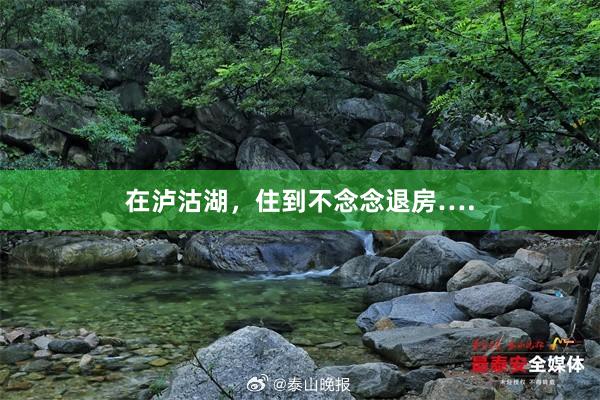 在泸沽湖，住到不念念退房….