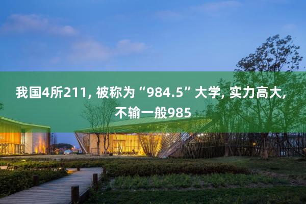 我国4所211, 被称为“984.5”大学, 实力高大, 不输一般985
