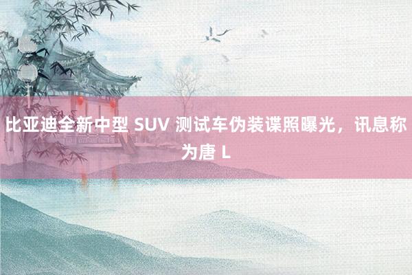 比亚迪全新中型 SUV 测试车伪装谍照曝光，讯息称为唐 L