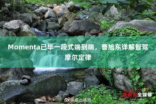 Momenta已毕一段式端到端，曹旭东详解智驾摩尔定律