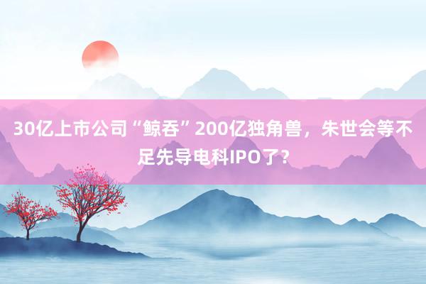 30亿上市公司“鲸吞”200亿独角兽，朱世会等不足先导电科IPO了？