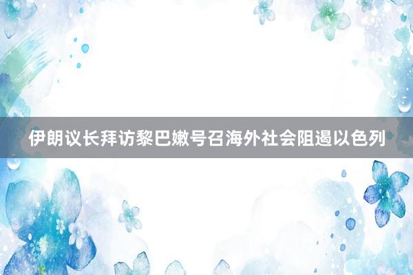 伊朗议长拜访黎巴嫩　号召海外社会阻遏以色列