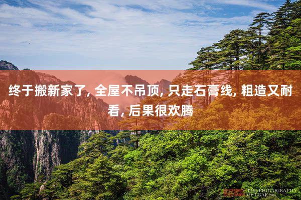 终于搬新家了, 全屋不吊顶, 只走石膏线, 粗造又耐看, 后果很欢腾