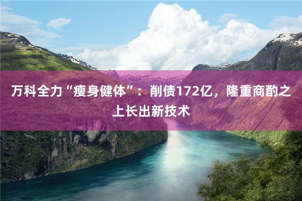 万科全力“瘦身健体”：削债172亿，隆重商酌之上长出新技术
