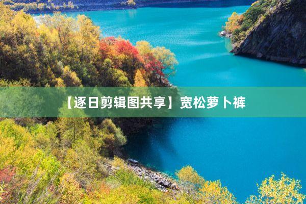 【逐日剪辑图共享】宽松萝卜裤