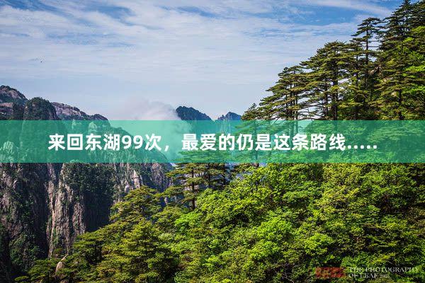 来回东湖99次,最爱的仍是这条路线.....