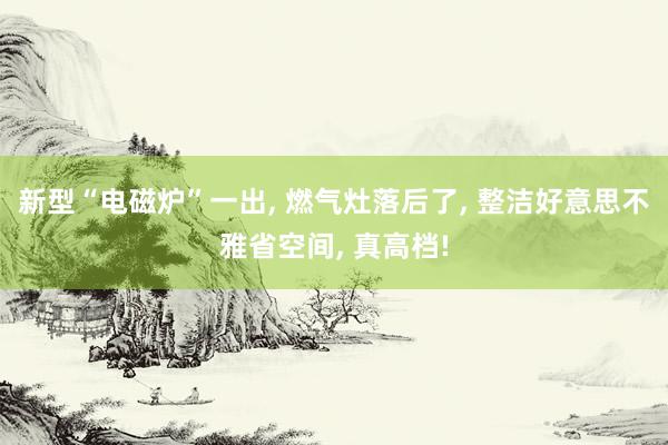 新型“电磁炉”一出, 燃气灶落后了, 整洁好意思不雅省空间, 真高档!